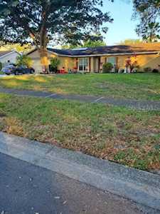 807 Eveningside Ct Tampa, FL 33613