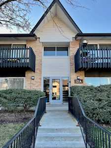 17A Kingery Quarter #102 Willowbrook, IL 60527