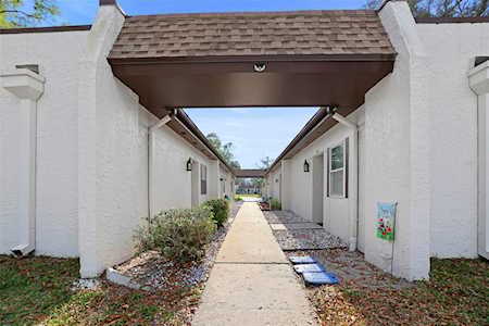 3138 Highlands Blvd #A Palm Harbor, FL 34684