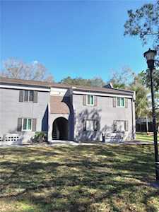 4018 Cortez Dr #C Tampa, FL 33614