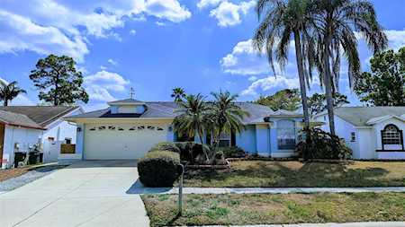 772 Brittany Park Blvd Tarpon Springs, FL 34689
