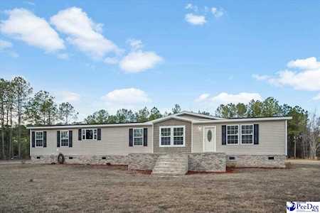 1709 Willow Point Effingham, SC 29541