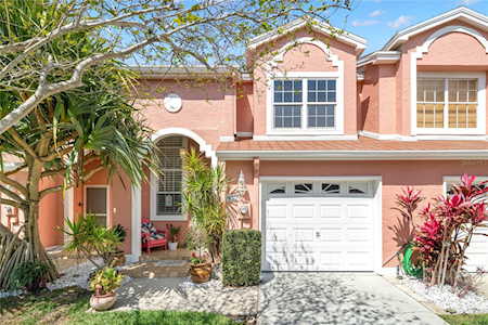14517 Alejo Ct Seminole, FL 33776