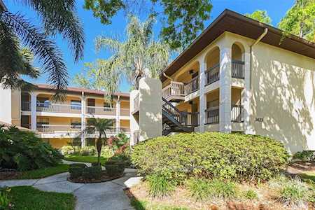 3423 Mermoor Dr. #205 Palm Harbor, FL 34685