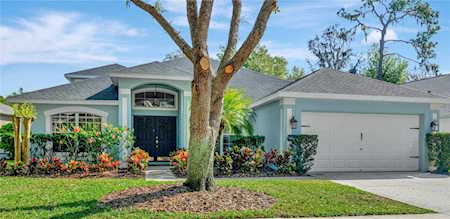 15126 Shearcrest Dr Lithia, FL 33547