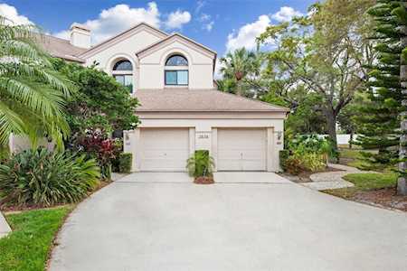 3636 Oak Haven Dr #203 Palm Harbor, FL 34684