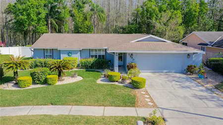 5330 Black Pine Dr Tampa, FL 33624