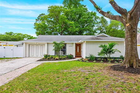 6804 Ambassador Ct Tampa, FL 33615