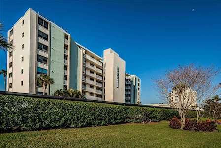 200 Woodette Dr #302B Dunedin, FL 34698