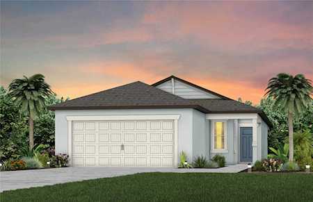 20711 SE Drake Elm Dr Land O Lakes, FL 34638