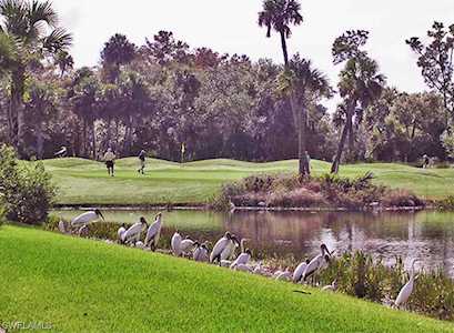 13530 Palmetto Grove Dr Fort Myers, FL 33905
