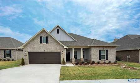 15768 NW Big Ben Drive Harvest, AL 35749