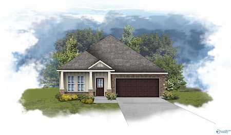 15738 NW Mizewell Lane Harvest, AL 35749