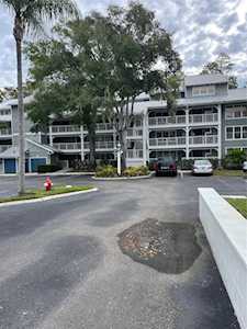 2577 Dolly Bay Dr #202 Palm Harbor, FL 34684