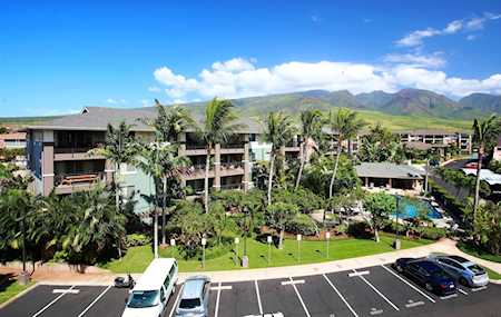 1300 Limahana Cir #C403 Lahaina, HI 96761