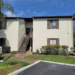731 115th Ave N #1710 St. Petersburg, FL 33716