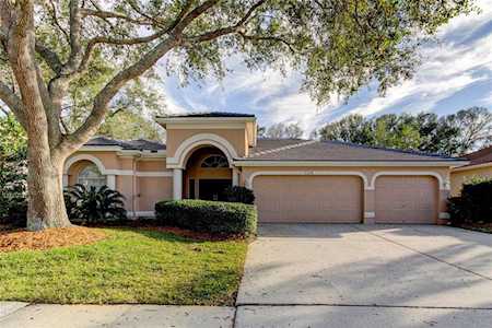 1318 Kings Way Ln Tarpon Springs, FL 34688