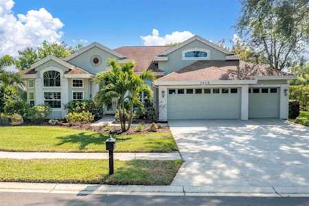 3676 Johnathon Ave Palm Harbor, FL 34685