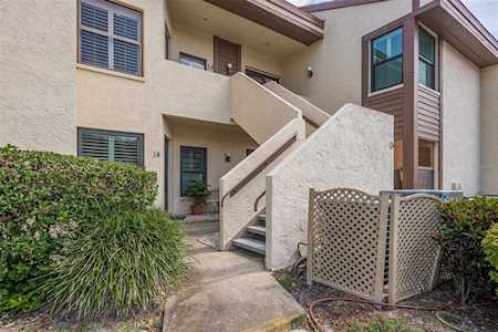2839 Countrybrook Dr #24 Palm Harbor, FL 34684