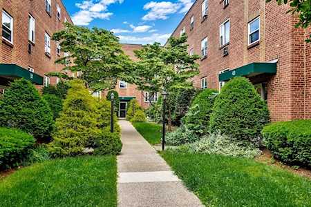 43 Colborne Rd #6 Boston, MA 02135