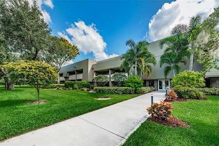 36750 Us Highway 19 N #15-113 Palm Harbor, FL 34684