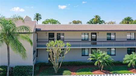 114 Nina WAY #114 Oldsmar, FL 34677