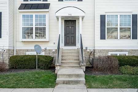 346 Shadbush Drive Blacklick, OH 43004
