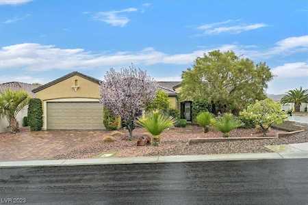 2288 Turner Falls St Henderson, NV 89044