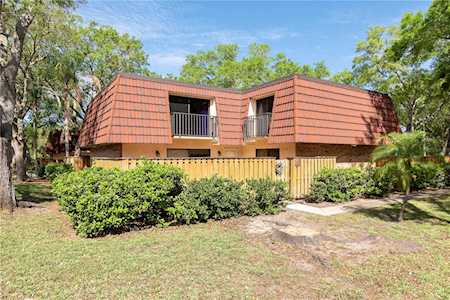 2634 13th Ct Palm Harbor, FL 34684
