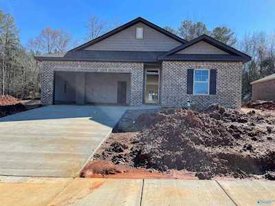 117 High Leaf Drive Harvest, AL 35749