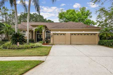 4709 Highgate Blvd Palm Harbor, FL 34685