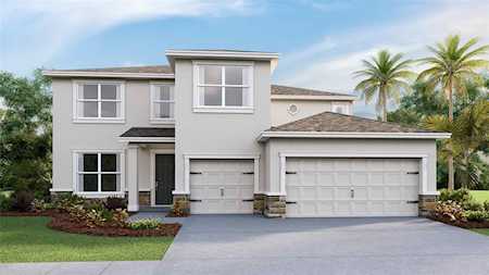 23267 Scaglione Dr Lutz, FL 33549