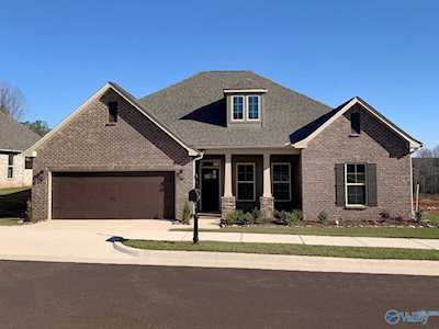 15674 NW Big Ben Drive Harvest, AL 35749