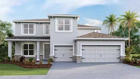 23204 Pachino WAY Lutz, FL 33549