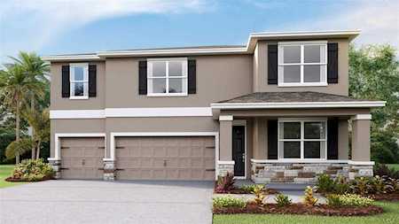 23305 Scaglione Dr Lutz, FL 33559