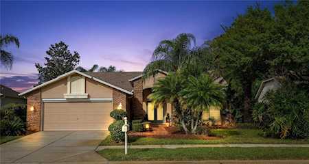 1403 Canberley Ct Trinity, FL 34655