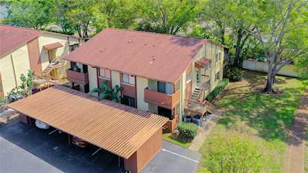 514 Tabor Ct #B Safety Harbor, FL 34695
