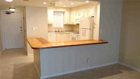 3100 W Rolling Hills Cir #502 Davie, FL 33328