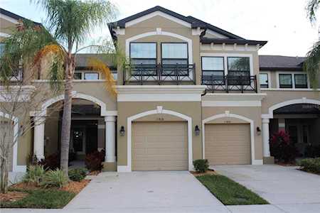 11438 Crowned Sparrow Ln Tampa, FL 33626