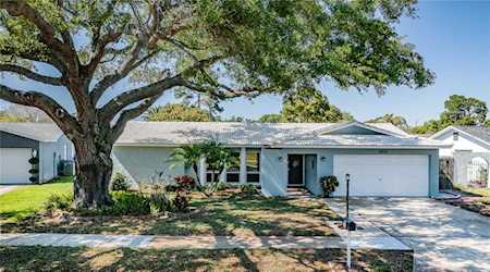 12232 Imperial Dr Seminole, FL 33772