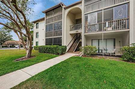 1871 Pine Ridge WAY W #A3 Palm Harbor, FL 34684