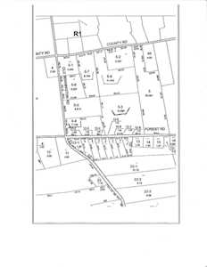 Forrest, Old Bennington, County Rd Greenfield, NH 03047
