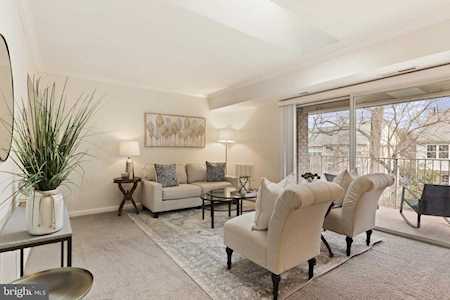 2823 Kalmia Lee Ct #302 Falls Church, VA 22042