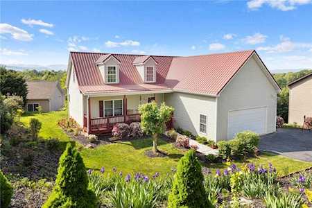 36 Climbing Aster Way Asheville, NC 28806