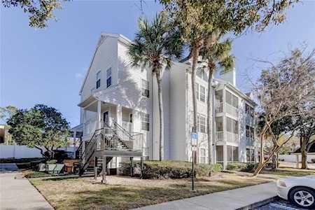 3304 Haviland Ct #201 Palm Harbor, FL 34684