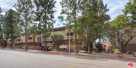 6545 Green Valley Circle #201 Culver City, CA 90230