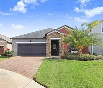19444 Paddock View Dr Tampa, FL 33647