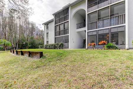 1344 Pine Ridge CIRCLE E #F1 Tarpon Springs, FL 34688