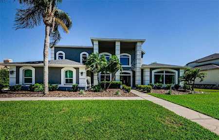 4010 Executive Dr Palm Harbor, FL 34685