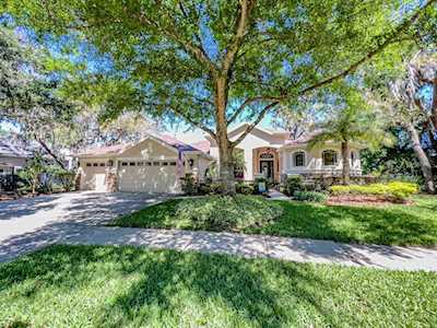 15604 Ibiscrest Ct Lithia, FL 33547
